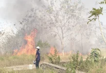 Karhutla di Bula Makin Meresahkan, Warga Desak Pelaku Pembakaran Ditangkap