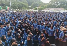 Keputusan Fachri Angkat Ribuan PPPK PW termasuk Guru, Kini Jadi Berkah