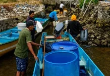 Dampak Kekeringan, Warga Kefing SBT Seberangi Laut 7 Km Ambil Air Bersih