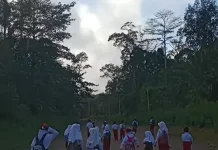 Akses Jalan Dibuka, Siswa di Woluk Sudah Lama Tak Lagi Gunakan Kelas Filial