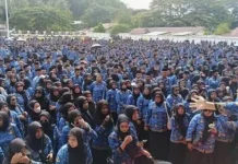 Pemkab SBT Upayakan Pembayaran Sisa Gaji 6 Bulan PPPK Paruh Waktu