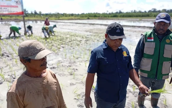 Distan SBT Perluas Lahan Padi Sawah 10 Hektare di Desa Akijaya, Ini Tujuannya