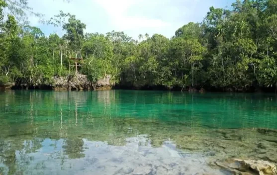 Danau Sole di  Amarsekaro SBT Masuk 10 Besar API Award 2026