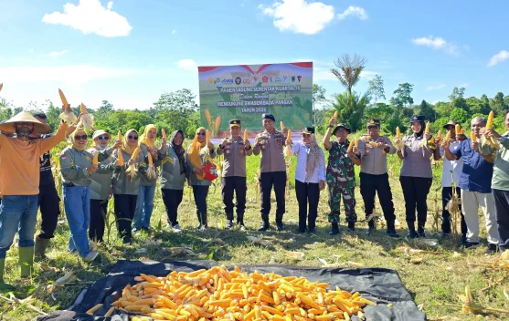 Dukung Swasembada Pangan, Brimob Panen Jagung Hibrida 1 Ton Lebih di Bula SBT