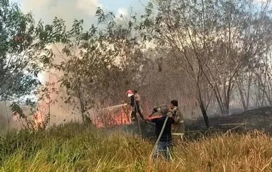 Kemarau Panjang di Bula, Warga Diimbau Waspada Karhutla
