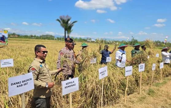 SBT Banyak Miliki Lahan Potensial Pengembangan Pertanian Produktif
