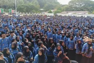 Keputusan Fachri Angkat Ribuan PPPK PW termasuk Guru, Kini Jadi Berkah