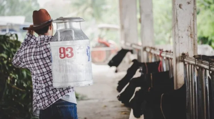 Pemkab Kuningan Siap Dukung Pasokan Susu Program MBG