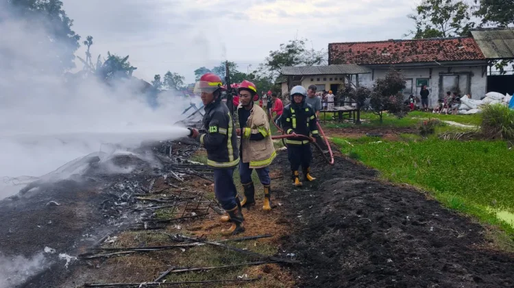 Kandang Ayam di Indramayu Terbakar, Ribuan Ekor Hangus