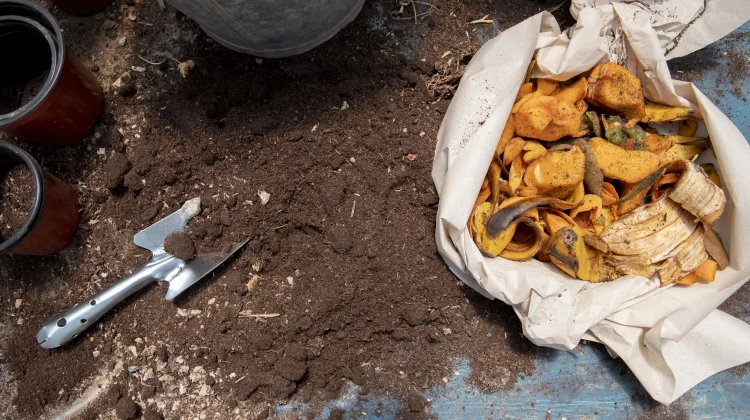Komunitas C3 Manfaatkan Sampah Jadi Media Tanam Bernilai Ekonomi