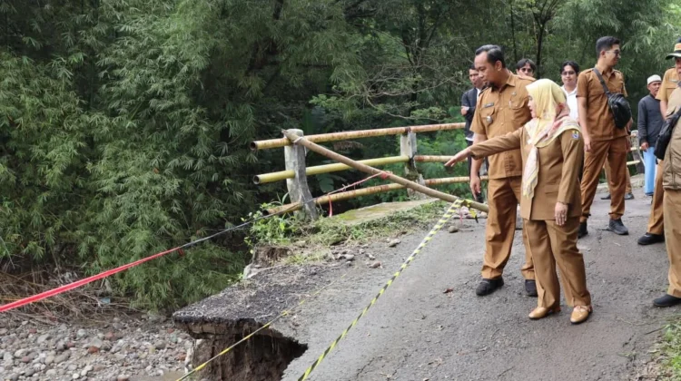 Wakil Wali Kota Tinjau Longsor di Jembatan Lebakngok