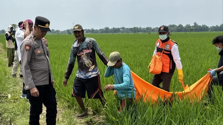Jasad Pria Ditemukan di Sawah Majalengka, Polisi Selidiki Penyebab