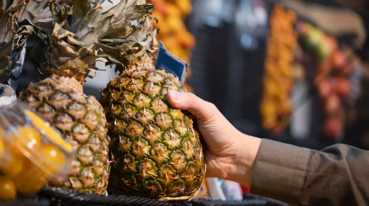 Harga Buah di Kota Cirebon Cenderung Naik namun Daya Beli Fluktuatif