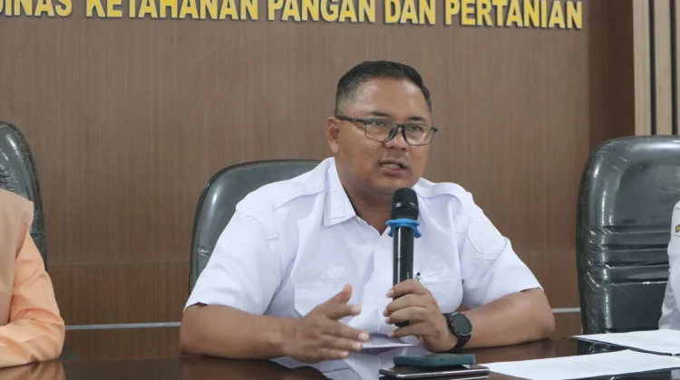 Surplus Beras Kabupaten Kuningan Naik, Target 132 Ribu Ton