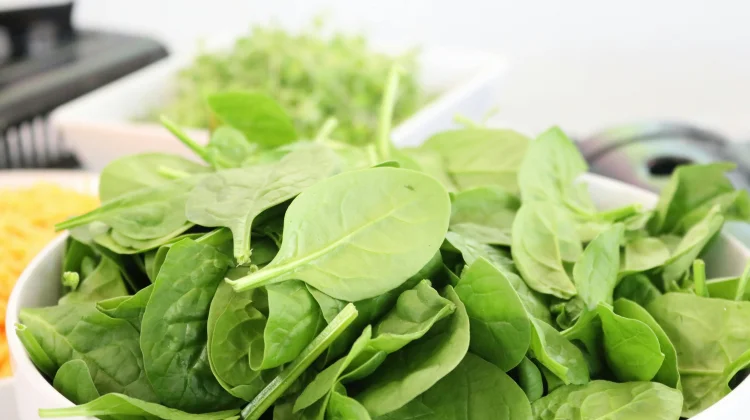 Bayam, Superfood Kaya Penambah Darah dan Daya Tahan Tubuh