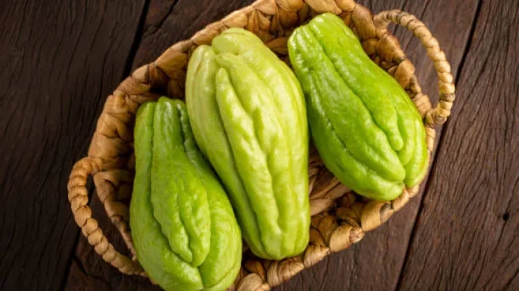 Labu Siam, Sahabat Diet dan Pengontrol Tekanan Darah