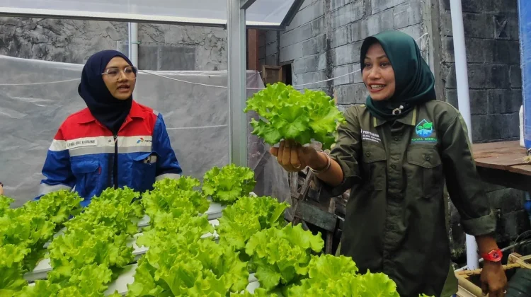 TJSL Pertamina Perkuat Peran Perempuan di Berbagai Daerah