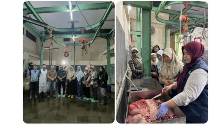 DKP3 Kota Cirebon Pastikan Daging Sapi di RPH DKP3 Aman, Sehat, dan Halal