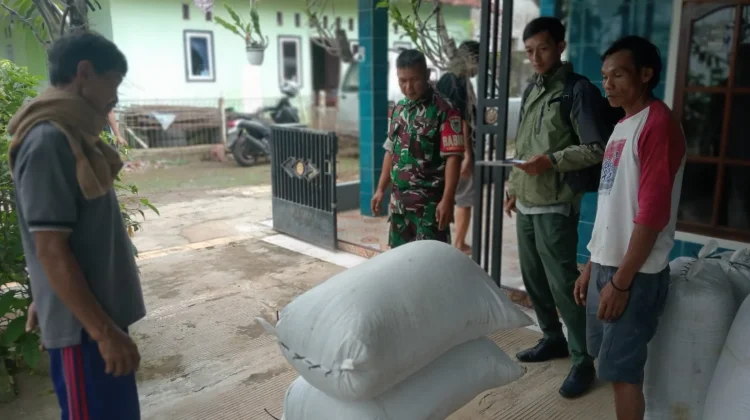 Bulog Serap 1,8 Ton Gabah Petani di Ciawigebang Kuningan