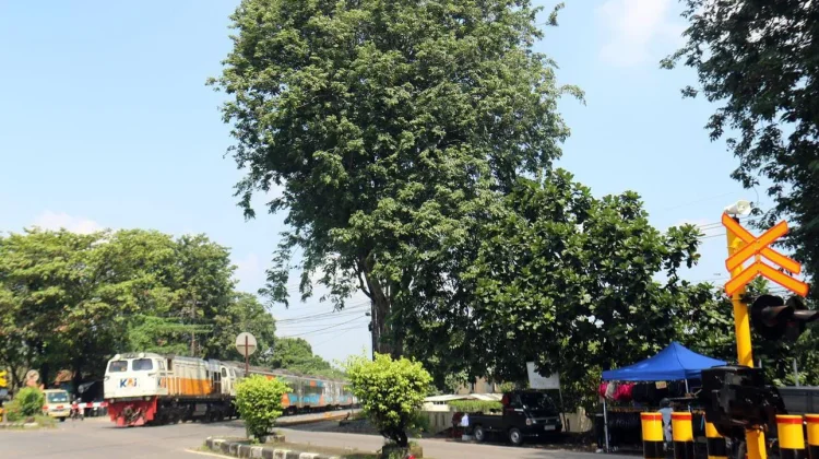 KAI Apresiasi Kesabaran Pengguna Jalan di Perlintasan pada Masa Angkutan Lebaran