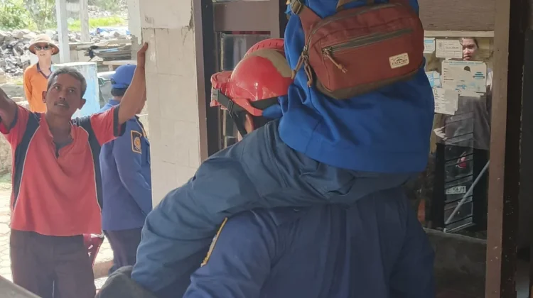 Aksi Menegangkan, Petugas Damkar Indramayu Taklukkan Ular Sanca