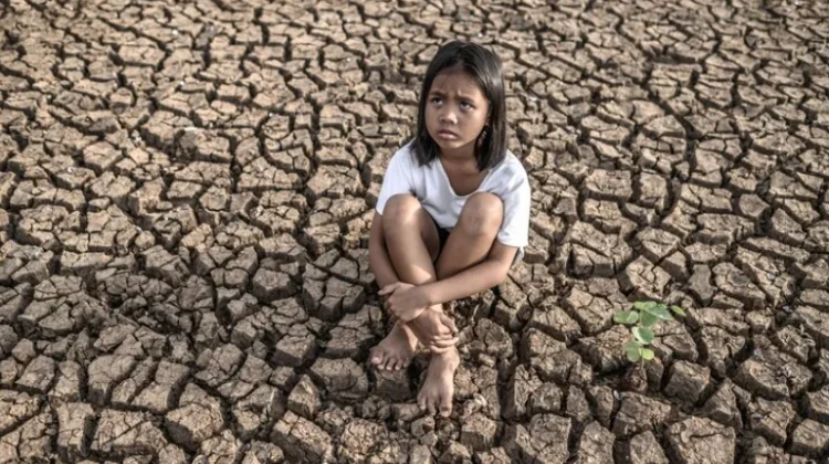 BMKG: El Nino 2026 Berpotensi Tekan Produksi Pertanian dan Ekonomi Daerah