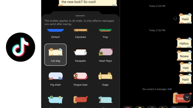 Tiktok Rilis Fitur Direct Message, Balon Obrolan Gemas