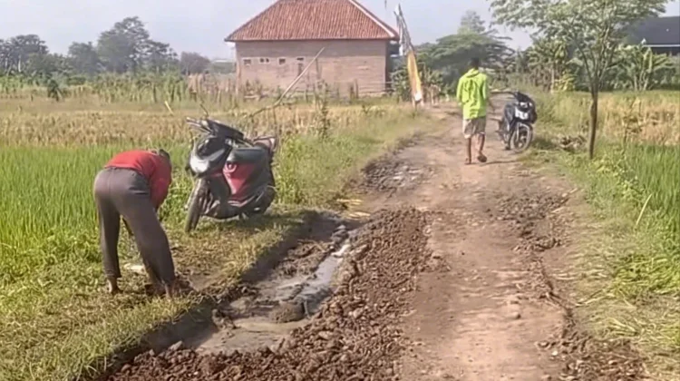 Warga Gembonganmekar Gotong Royong Perbaiki Jalan Tani