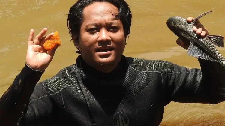 Mengenal Ikan Sapu-Sapu: Invasif, Cepat Berkembang, dan Merusak Habitat