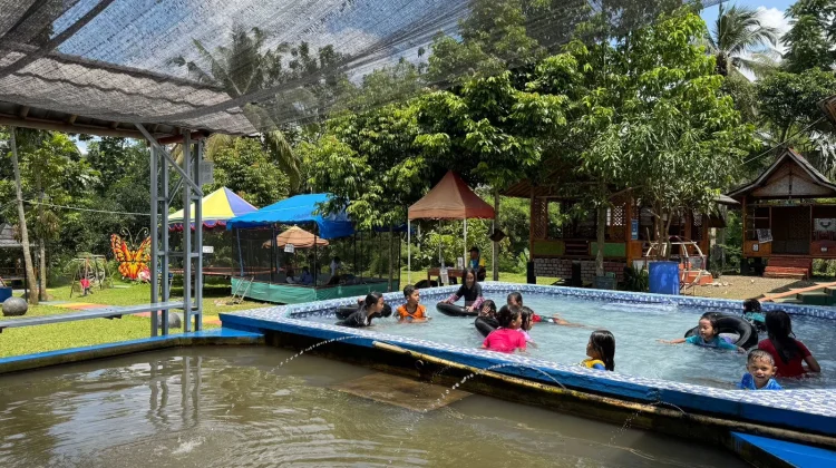 Semilir Angin dan Hamparan Sawah di Wisata Sawah Lope