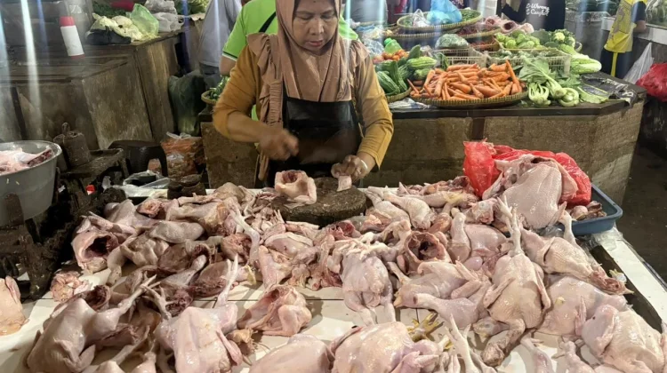 Pasokan Ayam dari Pasar Kanoman Dukung Program Makan Bergizi Gratis