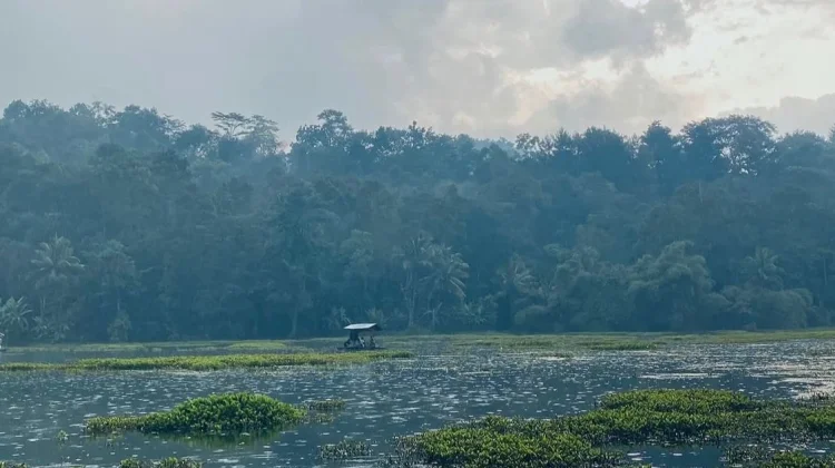 Wisata Alam dan Pemancingan di Kaki Gunung Ciremai