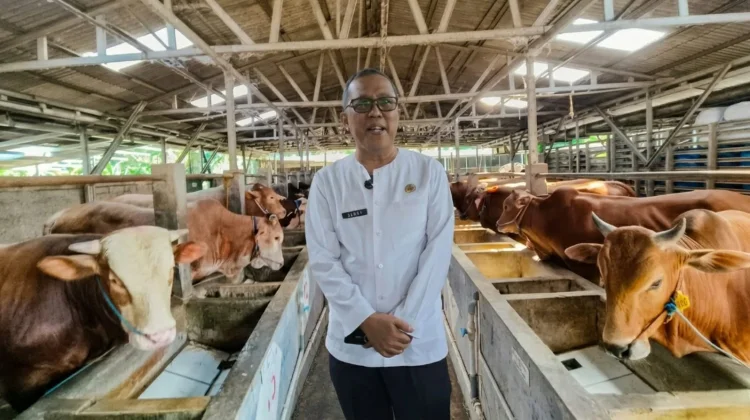 Pemkab Cirebon Lakukan Pemeriksaan Hewan Kurban jelang Iduladha