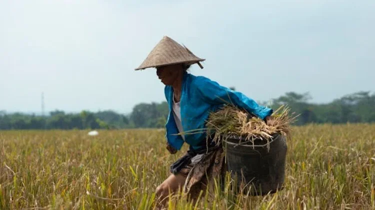 Petani dan UMKM Lokal Kuningan Mulai Rasakan Manfaat Program MBG