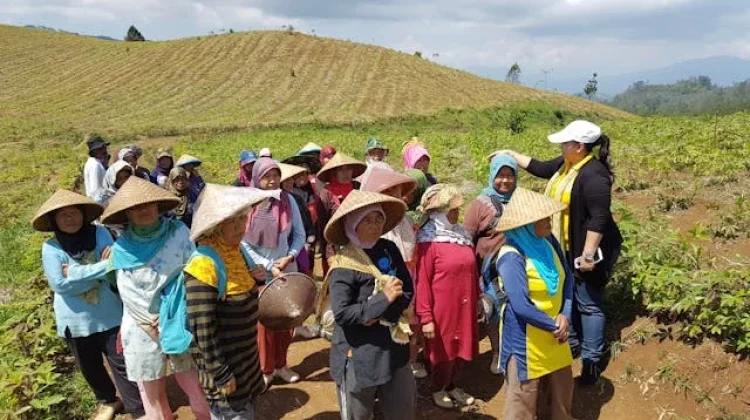 Metro dan Bantul Optimalkan Pekarangan Jaga Ketahanan Pangan Warga