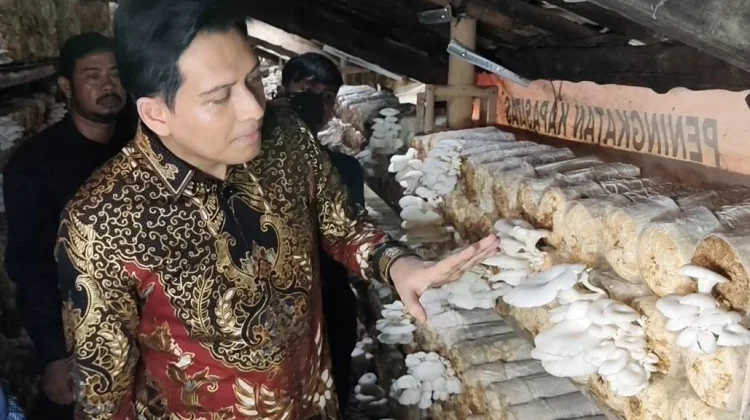 Lucky Hakim Apresiasi Lumbung Pangan Gratis di Indramayu