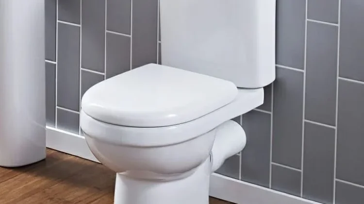 8 Tips Jitu Bersihkan Toilet Duduk agar Berkilau