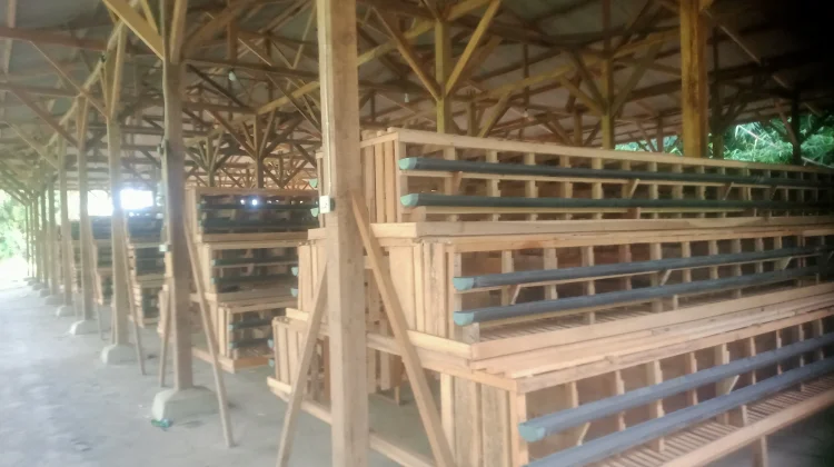 Program Ketahanan Pangan di Desa Wanakaya Mangkrak
