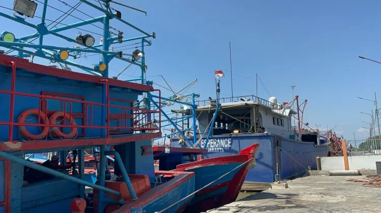 PPN Kejawanan Cirebon Optimalkan Potensi Perikanan Laut Jawa