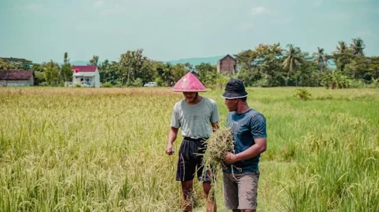 Petani Kota Cirebon Nilai Kehadiran Koperasi Penting Tingkatkan Kesejahteraan