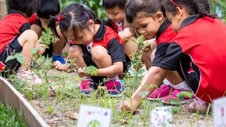 Mengenal Esensi dan Keunikan Sistem Sekolah Alam