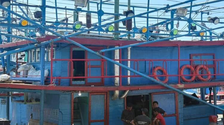 DKP3 Kota Cirebon Kembangkan Budidaya Udang Vaname dan Kerang Hijau