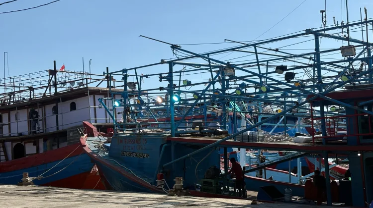 Sektor Perikanan Perkuat Ekonomi Masyarakat Pesisir Kota Cirebon