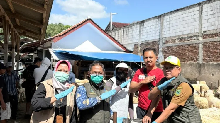 H-7 Iduladha, Diskanak Kuningan Bagikan 10 Ribu Kalung Sehat Hewan Kurban
