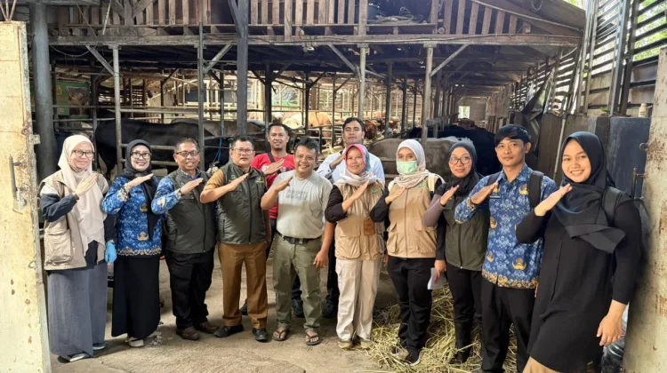 Hewan Kurban dari Luar Daerah Diawasi Ketat Diskanak Kuningan