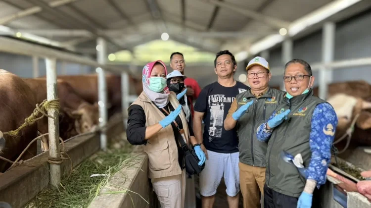 Diskanak Kuningan Pastikan Sapi Kurban Presiden Sehat
