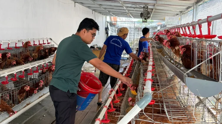 Telur Hasil Ternak Jadi Pasokan Bakery Warga Binaan Lapas Indramayu