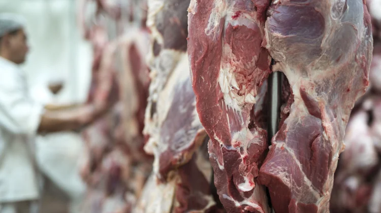 Tips praktis dan awet simpan daging kurban