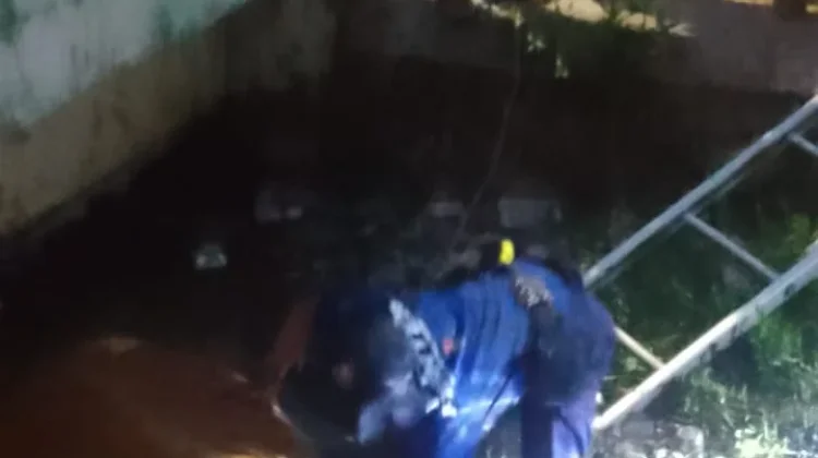 Damkar Indramayu Evakuasi Sapi Kurban Terperosok ke Parit