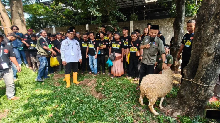 Juru Sembelih Halal Kabupaten Cirebon Perkuat Edukasi Penyembelihan Kurban
